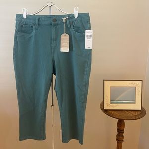 NWT Coldwater Creek Knit Denim Pants, Size 14P, Teal Color